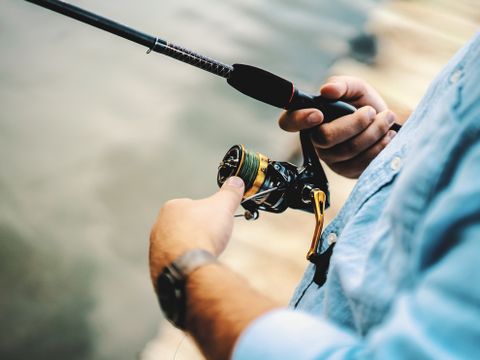 Camping Wilhelm Tell - Limburg Belge