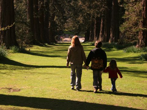 Camping Wilhelm Tell - Limburg Belge