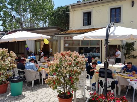 Viareggio Family Collection - Lucques