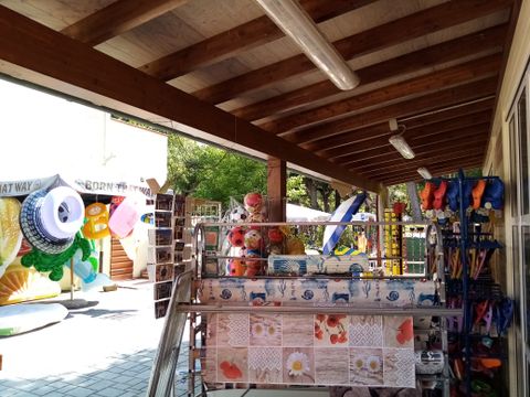 Viareggio Family Collection - Lucques