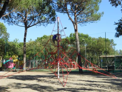 Viareggio Family Collection - Lucques