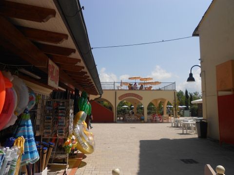 Viareggio Family Collection - Lucques
