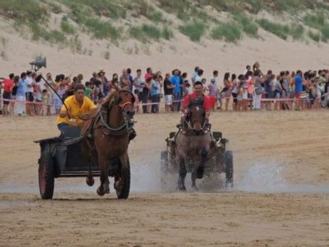 Camping Derby Loredo - Cantabria