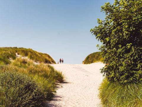 Landal Vakantiepark Boomhiemke - Ameland - Image N°33