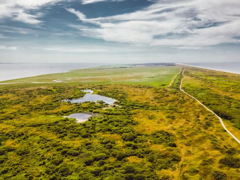 Landal Vakantiepark Boomhiemke - Ameland - Image N°38