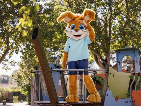 Roompot Hof Domburg - Veere