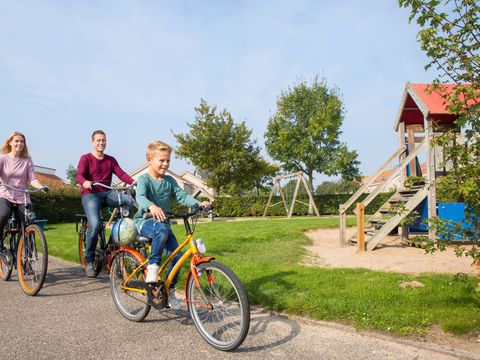 Landal De Soeten Haert - Renesse - Image N°2