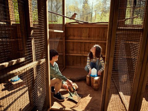 Center Parcs Le Bois aux Daims - Vienne
