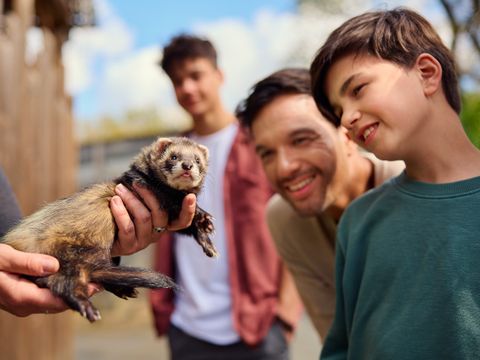 Center Parcs Le Bois aux Daims - Vienne
