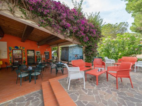 Camping Rosselba le Palme  - Livourne