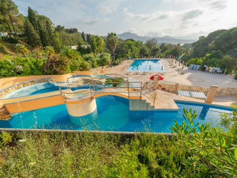 Camping Rosselba le Palme  - Livourne