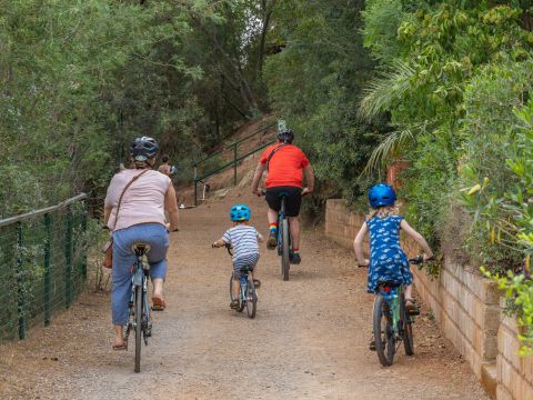 Camping Rosselba le Palme  - Livourne