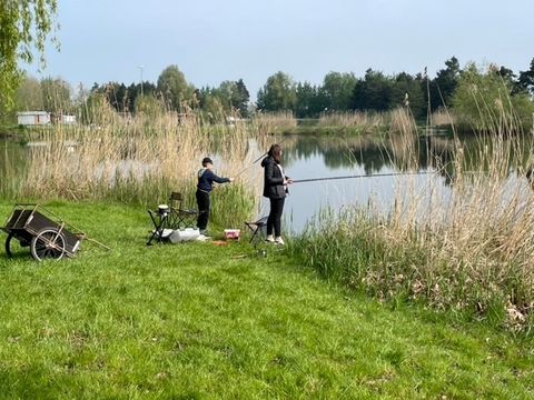 Camping Coeur d'Alsace - Bas-Rhin