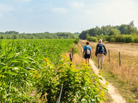 Vakantiepark Mölke - Wierden - Image N°11