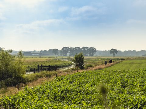 Vakantiepark Mölke - Wierden - Image N°32