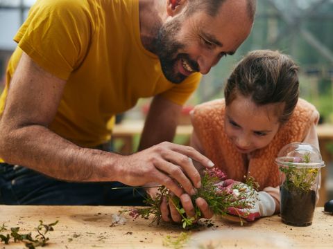 Center Parcs Het Meerdal - Horst an der Maas