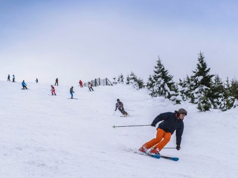 Landal Salztal Paradies - Basse-saxe