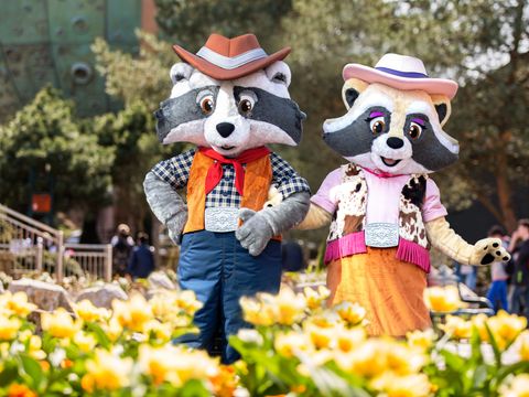 Attractie- & Vakantiepark Slagharen - Hardenberg - Image N°5