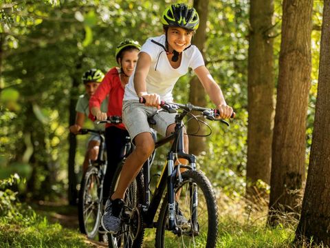 Landal Stroombroek - Montferland