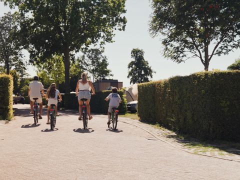 Villapark De Paardekreek - Beveland-Nord - Image N°2