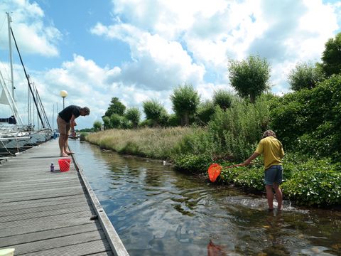 Villapark De Paardekreek - Beveland-Nord