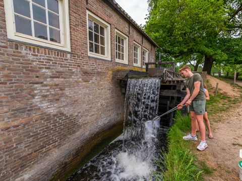 EuroParcs De Hooge Veluwe - Arnhem - Image N°53