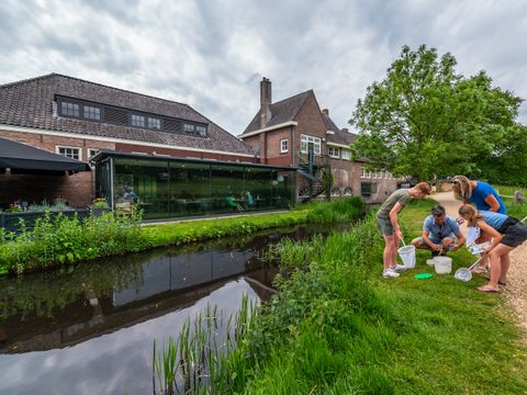 EuroParcs De Hooge Veluwe - Arnhem - Image N°52
