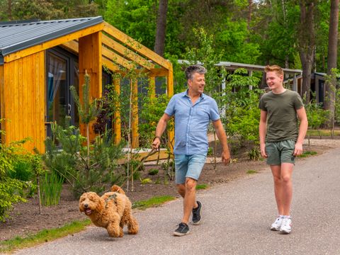 EuroParcs De Hooge Veluwe - Arnhem - Image N°34