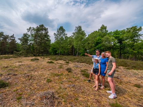 EuroParcs De Hooge Veluwe - Arnhem - Image N°46