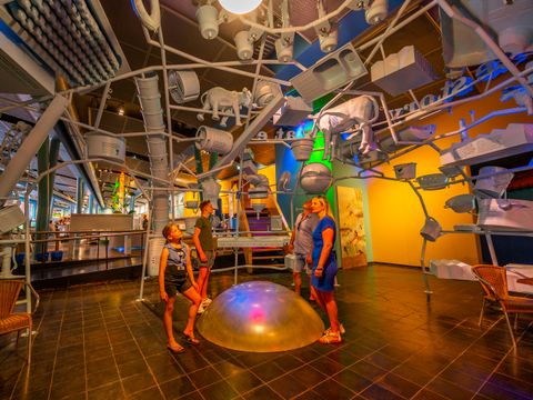 EuroParcs De Hooge Veluwe - Arnhem - Image N°49