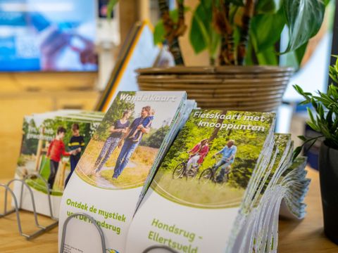 Landal Het Land van Bartje - Borger-Odoorn