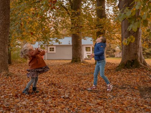 Vakantiepark Witterzomer - Assen