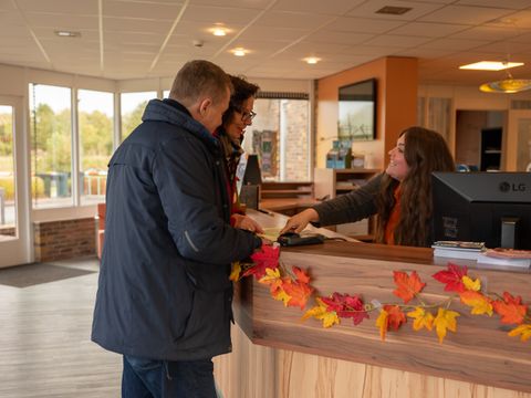 Vakantiepark Witterzomer - Assen - Image N°4