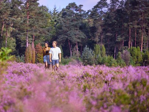 Center Parcs Bispinger Heide - Basse-saxe