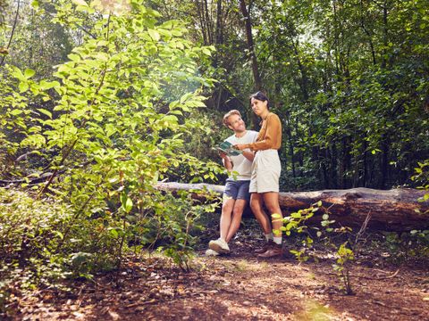 Center Parcs Bispinger Heide - Basse-saxe