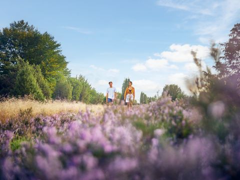 Center Parcs Bispinger Heide - Basse-saxe