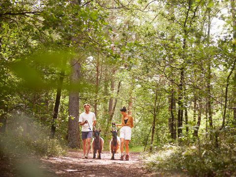 Center Parcs Bispinger Heide - Basse-saxe