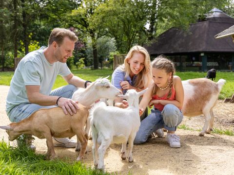 Center Parcs Het Heijderbos - Gennep