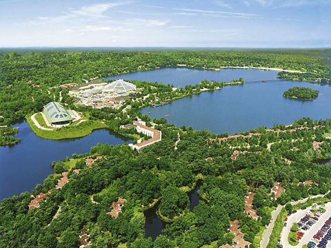 Center Parcs De Vossemeren - Camping Limburg Belge