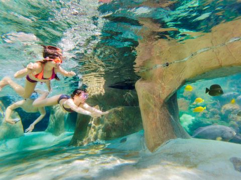 Center Parcs De Vossemeren - Limburg Belge