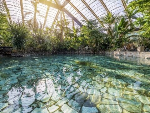 Center Parcs Park Erperheide - Limburg Belge