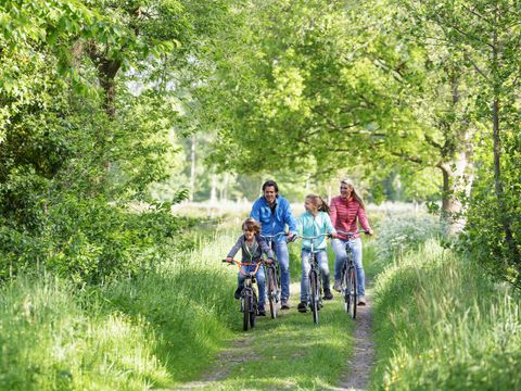 Center Parcs Park Erperheide - Limburg Belge