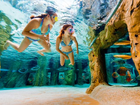 Center Parcs Park Erperheide - Limburg Belge