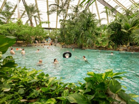 Center Parcs Park Erperheide - Limburg Belge