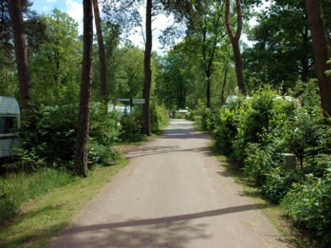 Buitencentrum Hessenheem - Hof von Twente - Image N°10