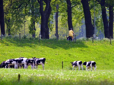 Buitenplaats Gerner - Dalfsen - Image N°21