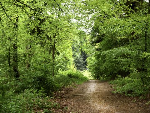 Buitenplaats Gerner - Dalfsen - Image N°20