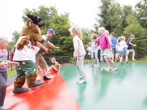 Vakantiepark De Pampel - Apeldoorn