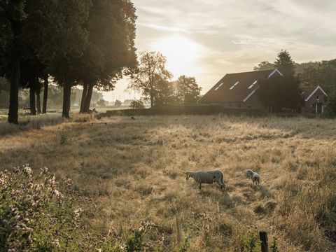 Vakantiepark De Twee Bruggen - Winterswijk - Image N°48