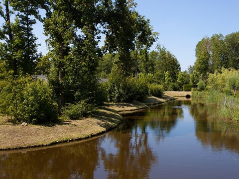 EuroParcs Buitenhuizen - Velsen - Image N°34